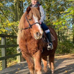 Paardencoaching bij Op Het Terphuis