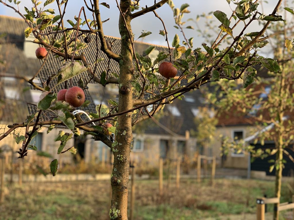 Ruimteverhuur in Poortugaal - Activiteiten in de buitenlucht